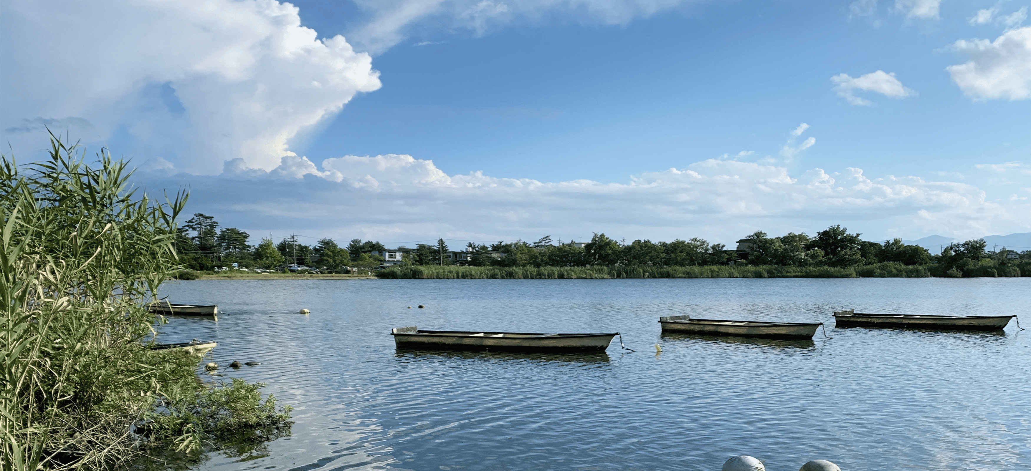 メインビジュアル